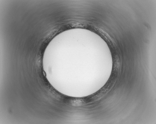 X0000115250513200911271907