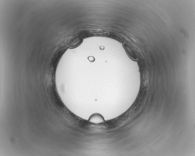 X0000115250515200911271907