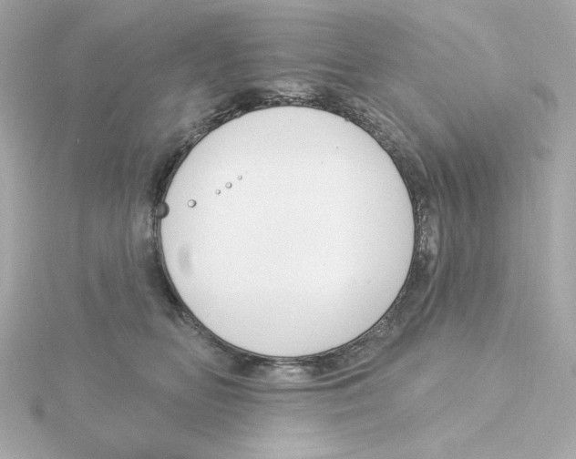 X0000115250518200911271907