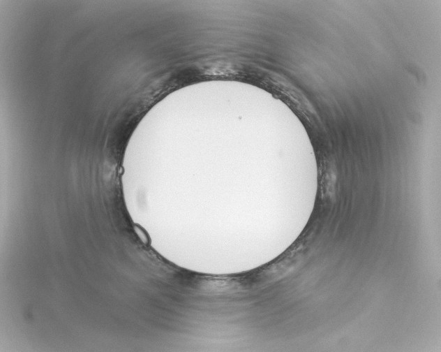 X0000115250521200911271907