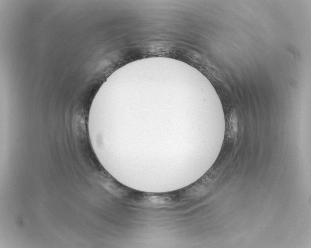 X0000115250522200911271907