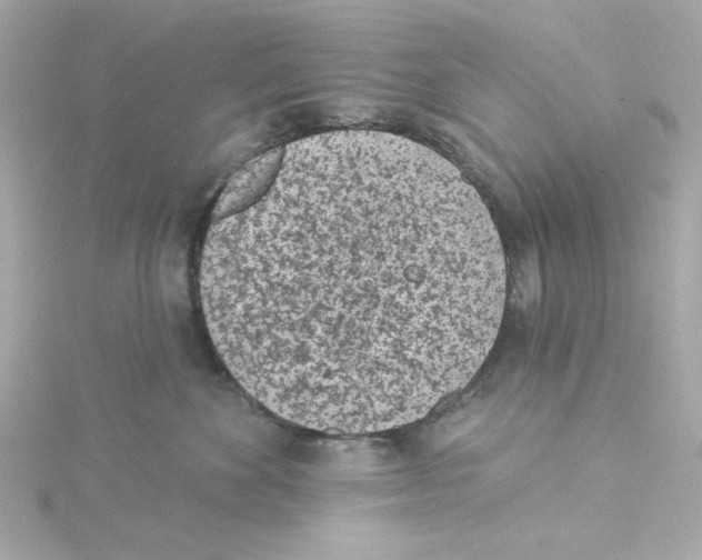 X0000115250524200911271907