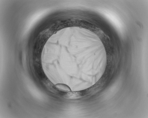 X0000115250526200911271907