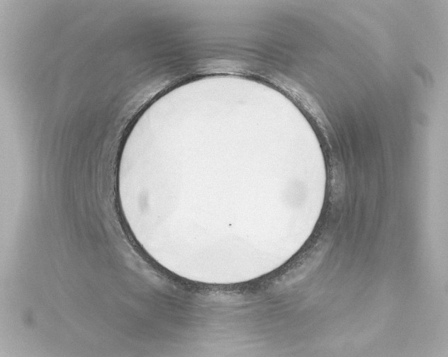 X0000115250529200911271907