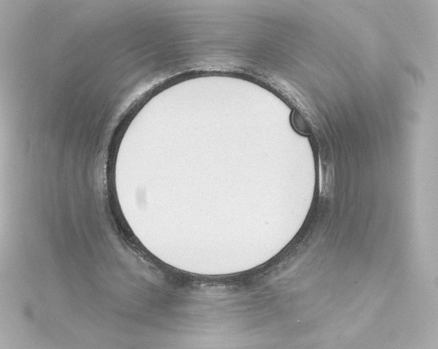 X0000115250531200911271907