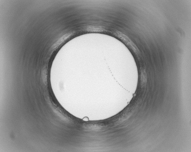 X0000115250533200911271907