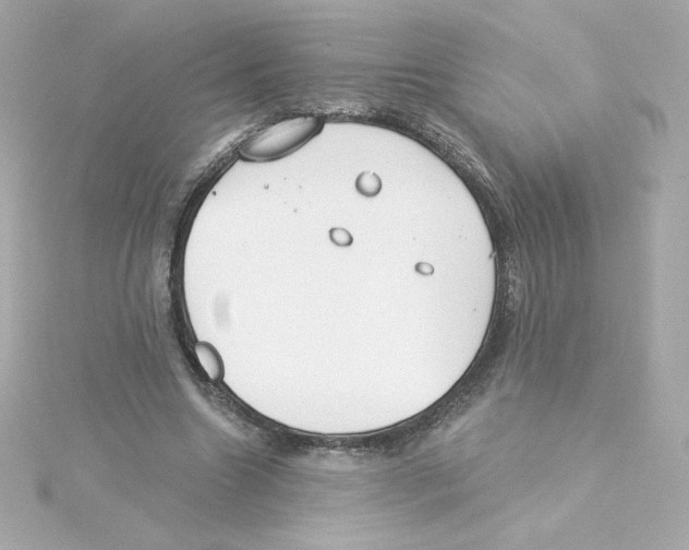 X0000115250538200911271907