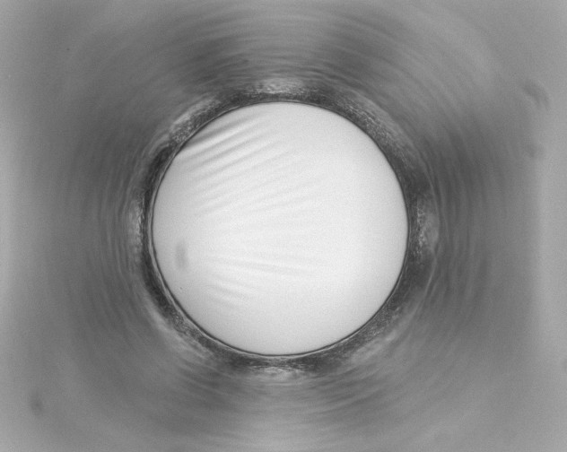 X0000115250542200911271907