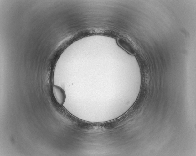 X0000115250543200911271907