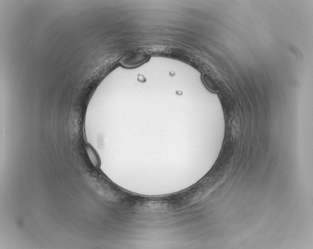 X0000115250546200911271907