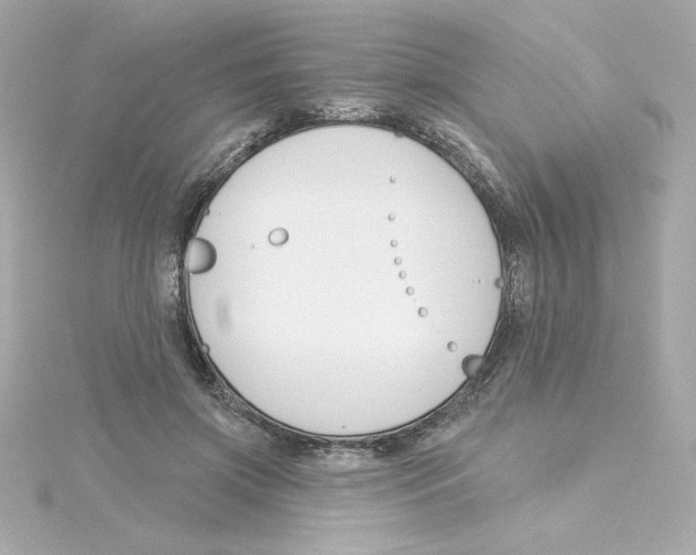 X0000115250549200911271907