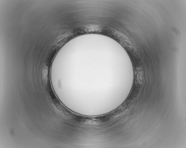 X0000115250550200911271907