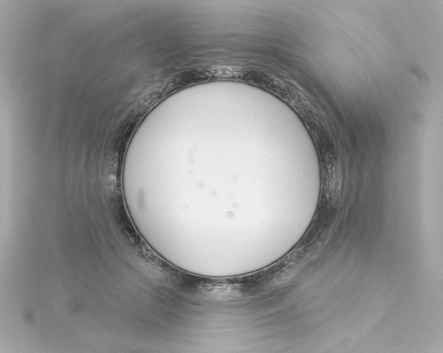 X0000115250553200911271907