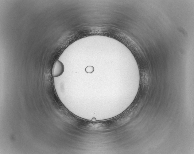 X0000115250557200911271907