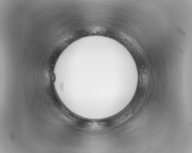 X0000115250558200911271907