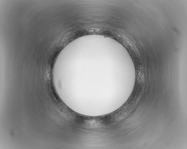 X0000115250561200911271907