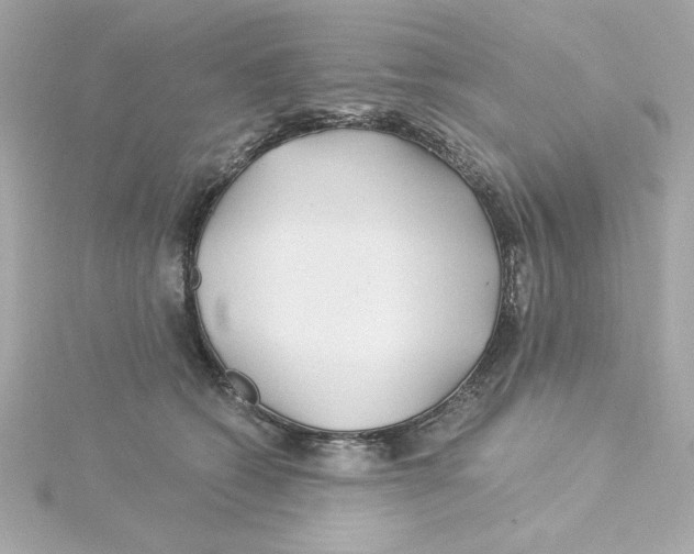 X0000115250562200911271907