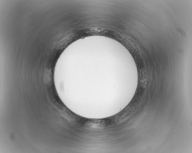 X0000115250563200911271907