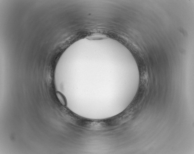 X0000115250566200911271907