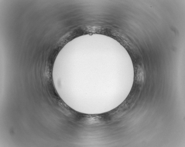 X0000115250569200911271907