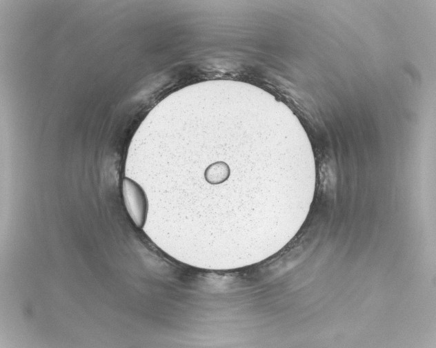 X0000115250570200911271907