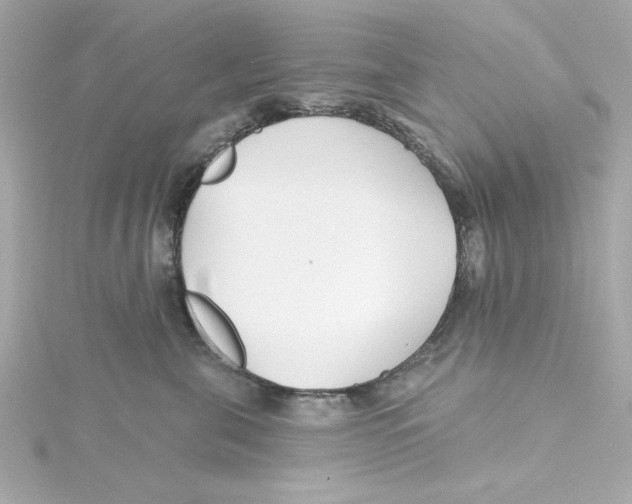 X0000115250571200911271907