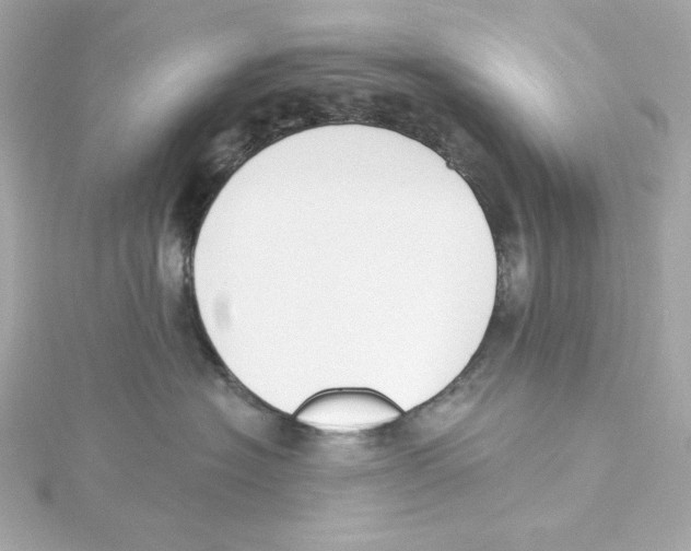 X0000115250574200911271907