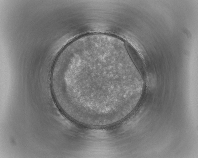 X0000115250577200911271907