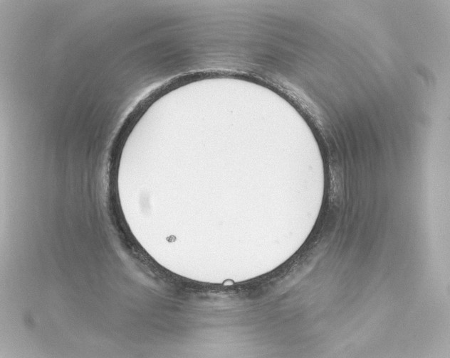 X0000115250580200911271907