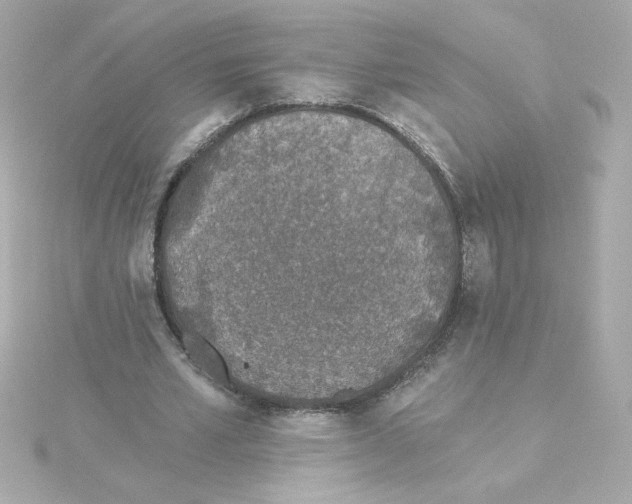 X0000115250581200911271906