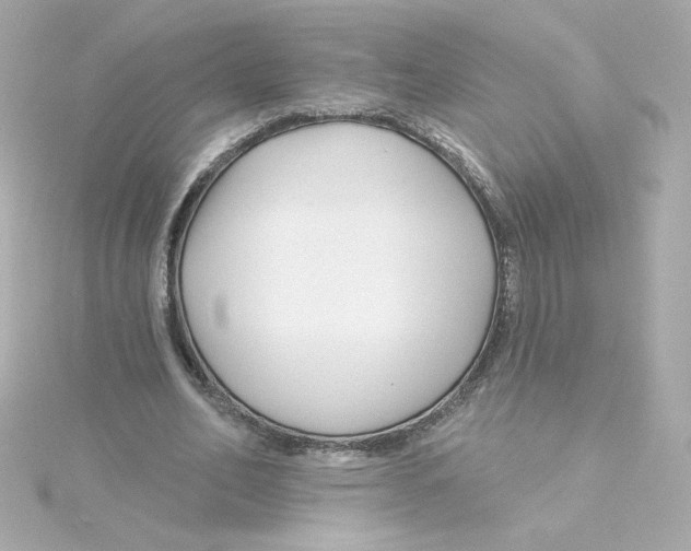 X0000115250582200911271906