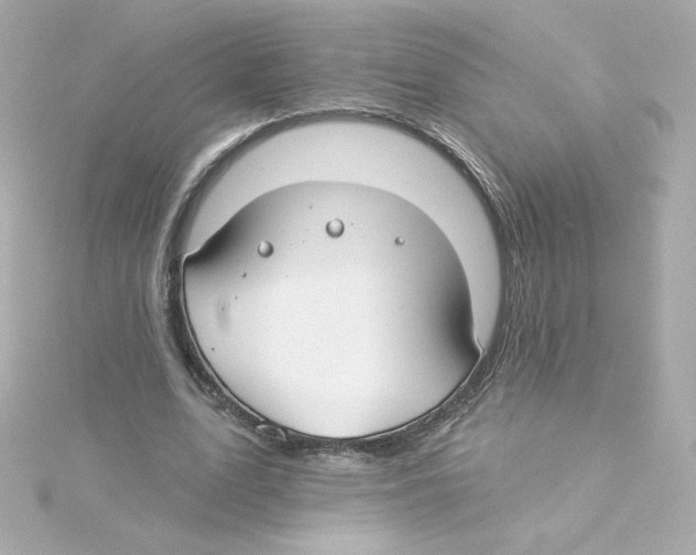 X0000115250583200911271906