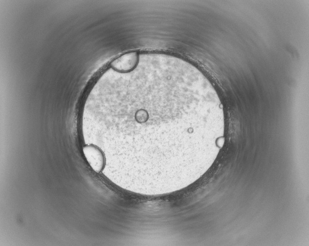 X0000115250584200911271906