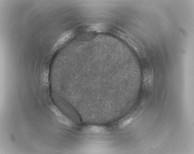 X0000115250585200911271906