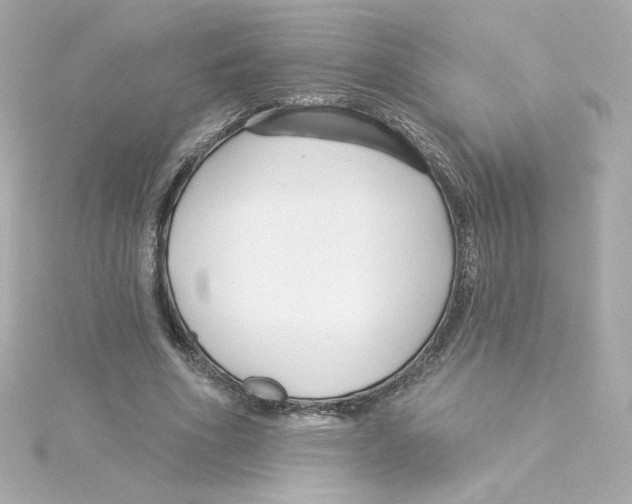 X0000115250586200911271906