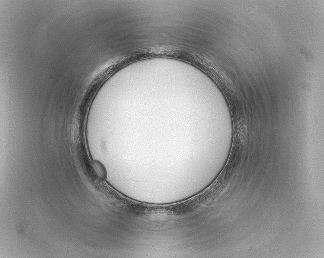 X0000115250587200911271906