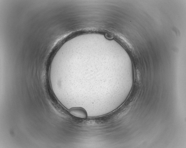 X0000115250588200911271906