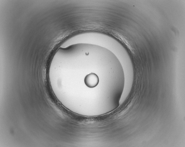 X0000115250589200911271906