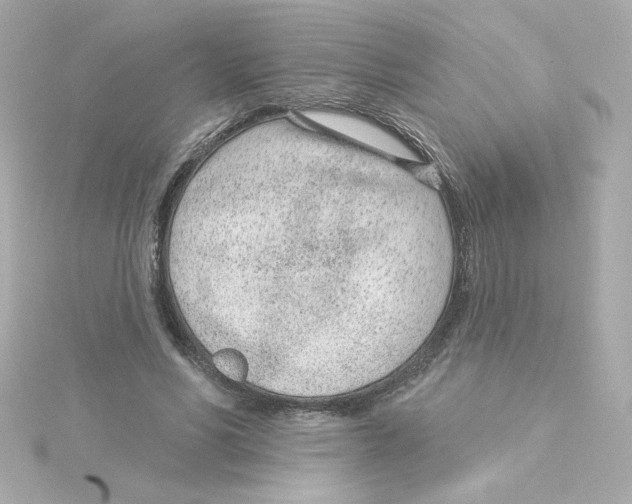 X0000115250590200911271906