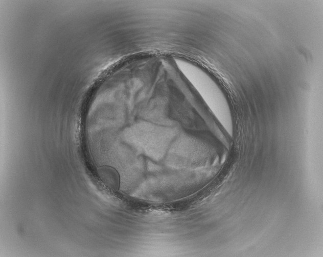 X0000115250592200911271906