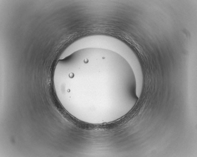 X0000115250593200911271906