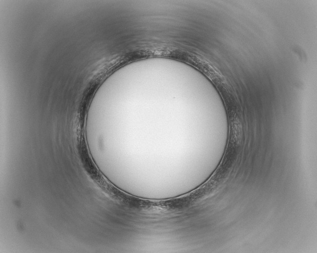 X0000115250594200911271906