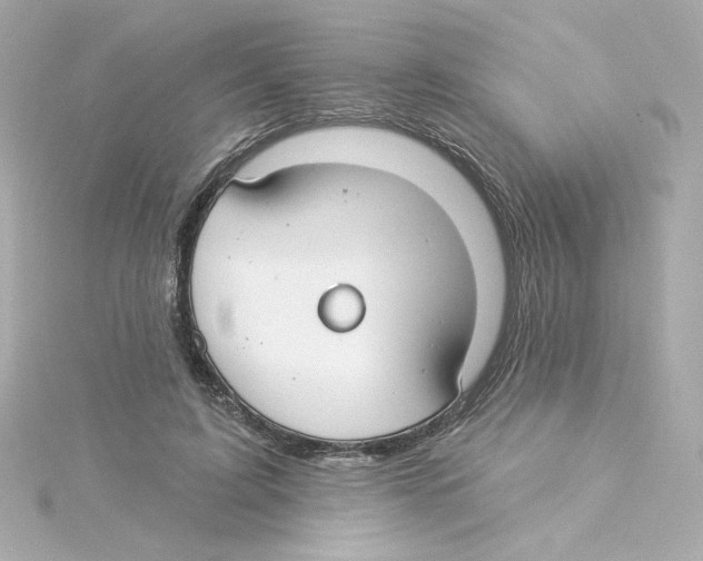 X0000115250595200911271906