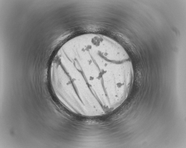 X0000115250596200911271906