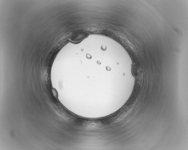 X0000115250597200911271906