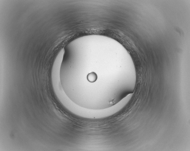 X0000115250599200911271906