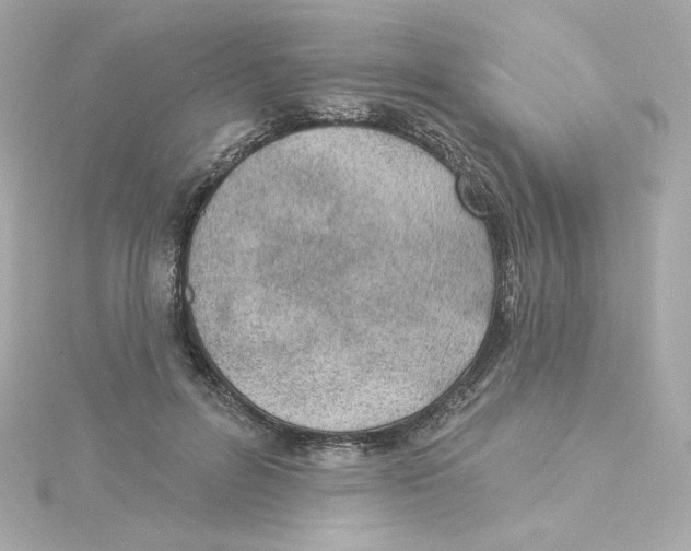 X0000115250600200911271906