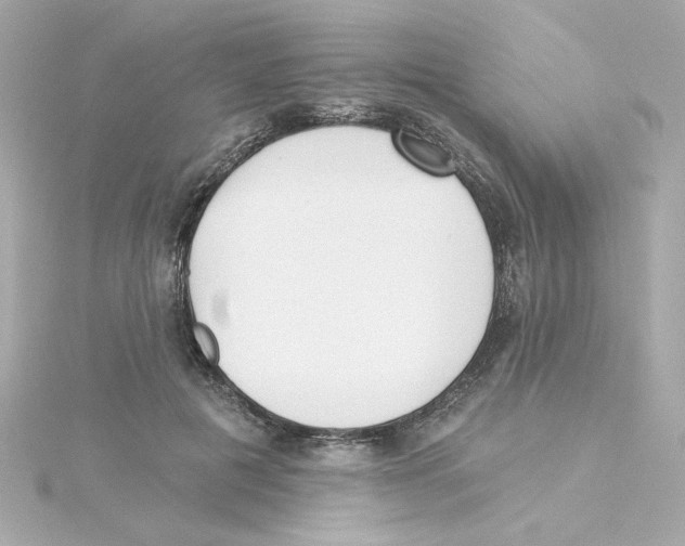 X0000115250601200911271906