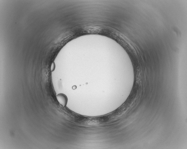 X0000115250604200911271906