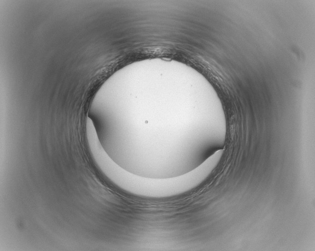 X0000115250605200911271906